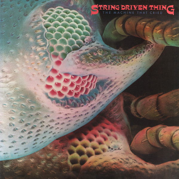 String Driven Thing — Machine That Cried