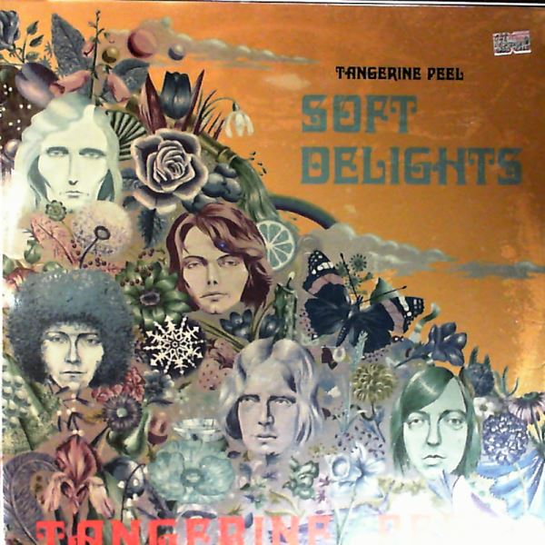 Tangerine peel — Soft Delights