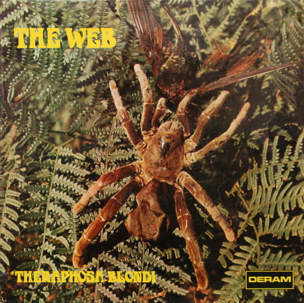 Web — Theraphosa Blondi