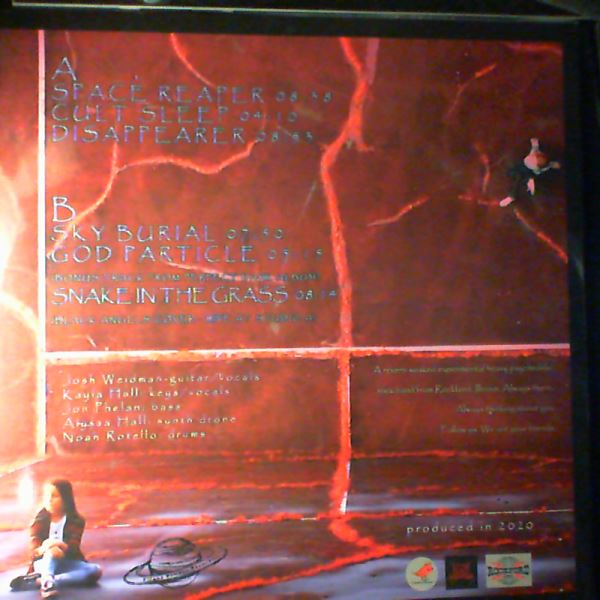 White Shape (Weidman Josh) — Space Reaper / Cult Sleep / Disappearer / Sky Burial / God Particle (Bonus From Perfect Dark Album) / Snake In The Grass (Black Angels Cover - Live At Studio A)