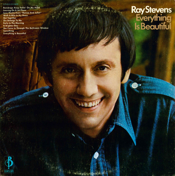 Stevens Ray — Everything Is Beautiful
