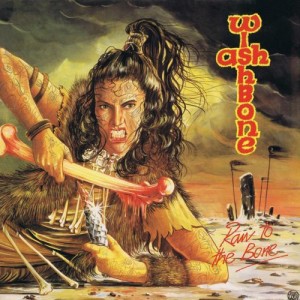 Wishbone Ash — Raw To The Bone