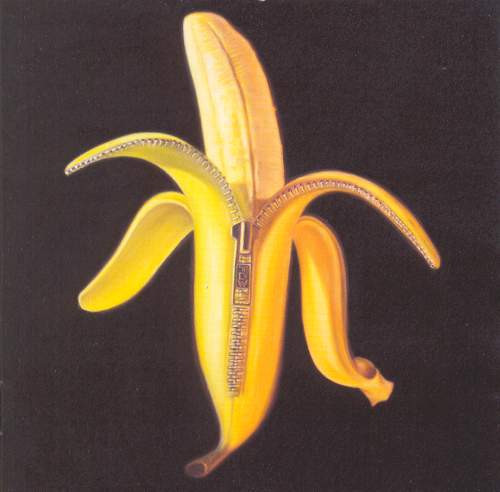 Dandy Warhols — Welcome To The Monkey House