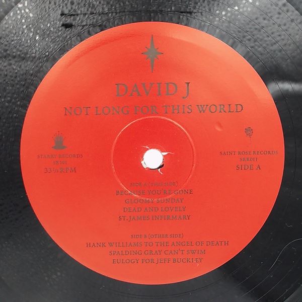 David J (Bauhaus) — Not Long For This World
