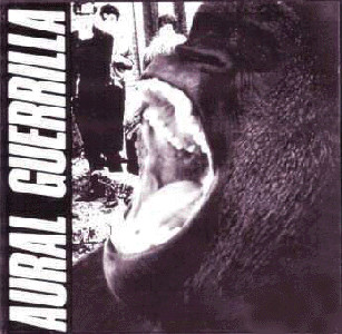 Ex — Aural Guerrilla