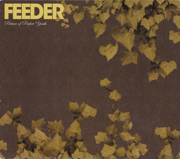 Feeder — Picture Of Perfect Youth