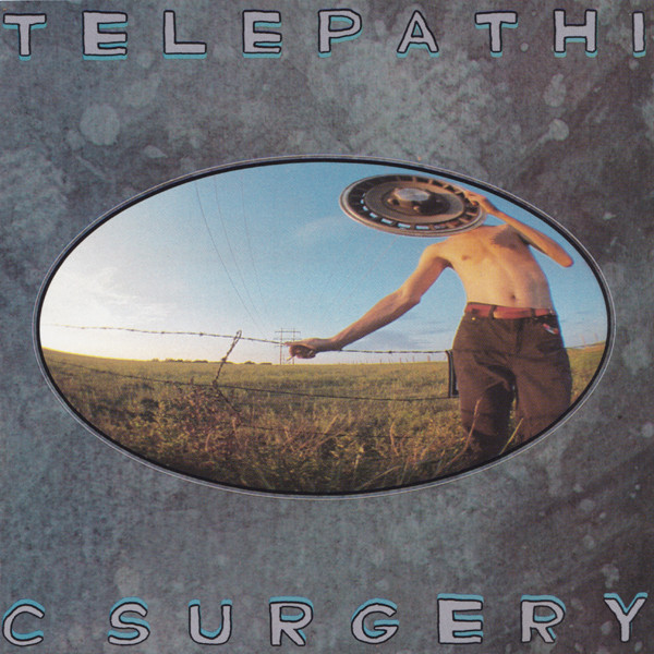 Flaming Lips — Telepathic Surgery