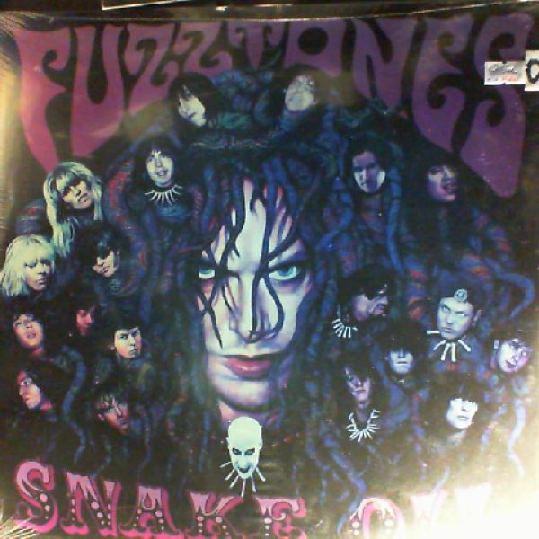 Fuzztones — Snake Oil