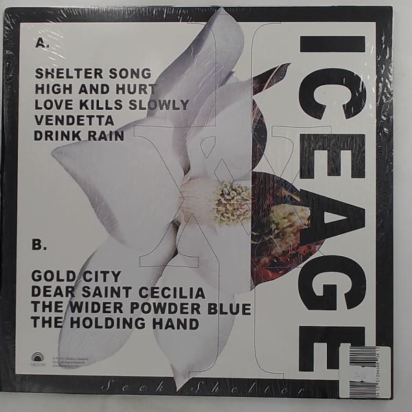 Iceage — Seek Shelter