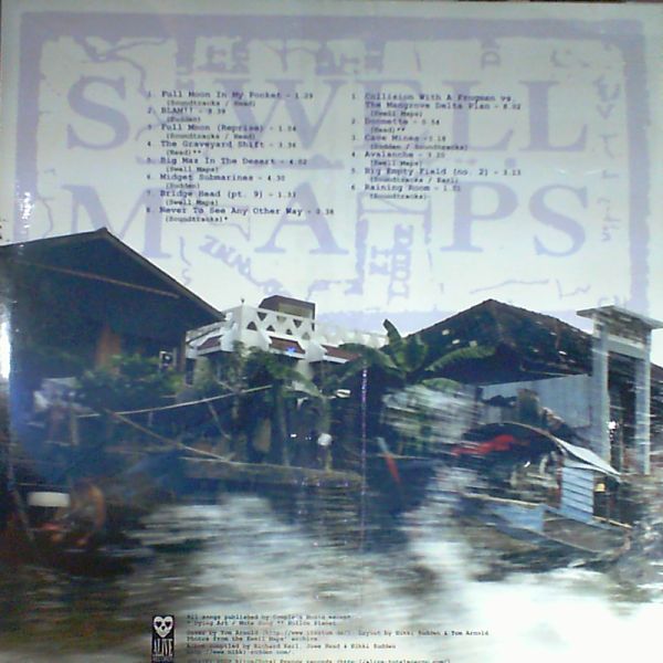 Swell Maps — Sweep the deser