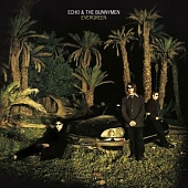 ECHO & THE BUNNYMEN — Evergreen