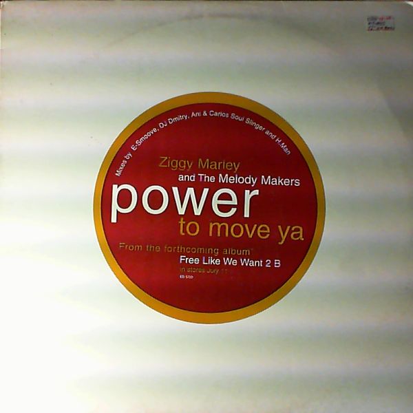 Marley Ziggy — Melody makers