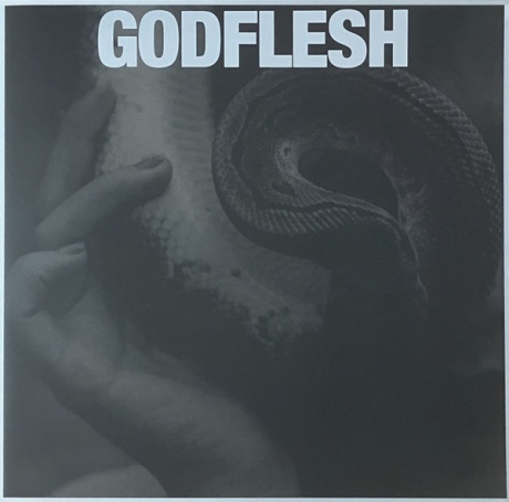 GODFLESH — Purge