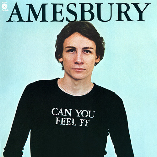 Amesbury Bill — Can You Feel It