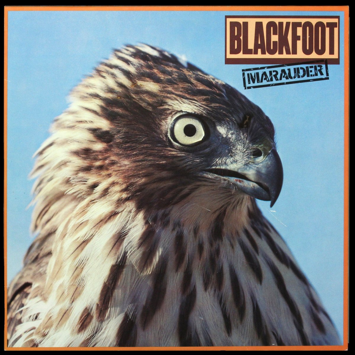 Blackfoot — Marauder
