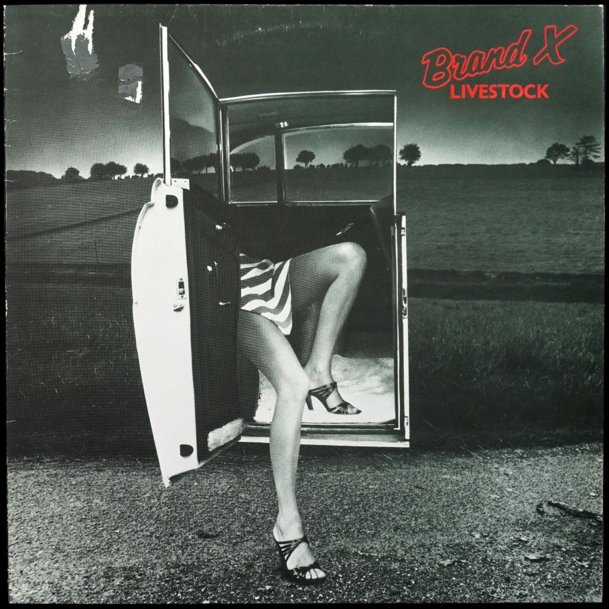 Brand X — Livestock