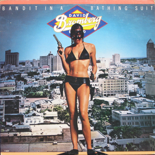 Bromberg David Band — Bandit In A Bathing Suit