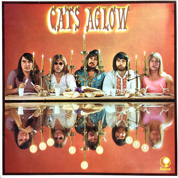 Cats — Aglow