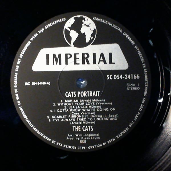 Cats — Cat's portrait