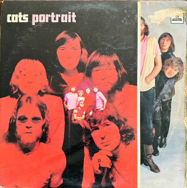 Cats — Portrait