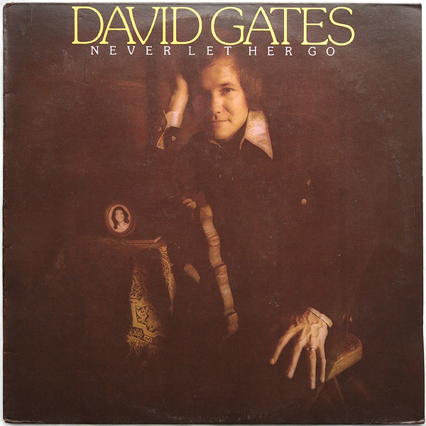 Gates David — Never Let Her Go