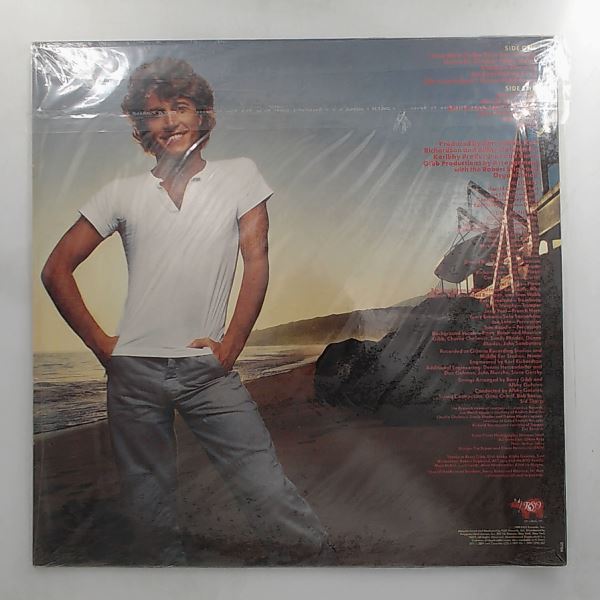 Gibb Andy — Gibb Andy's Greatest Hits