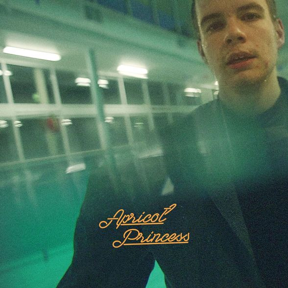 Rex Orange County — Apricot Princess