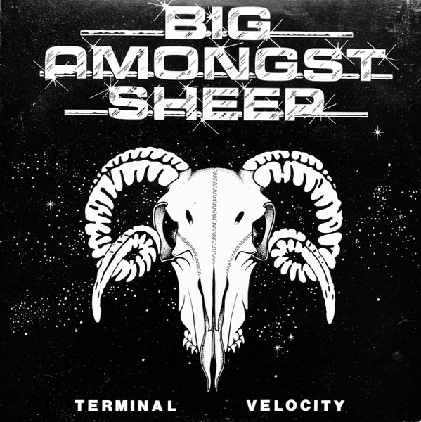 Big Amongst Sheep — Terminal Velocity