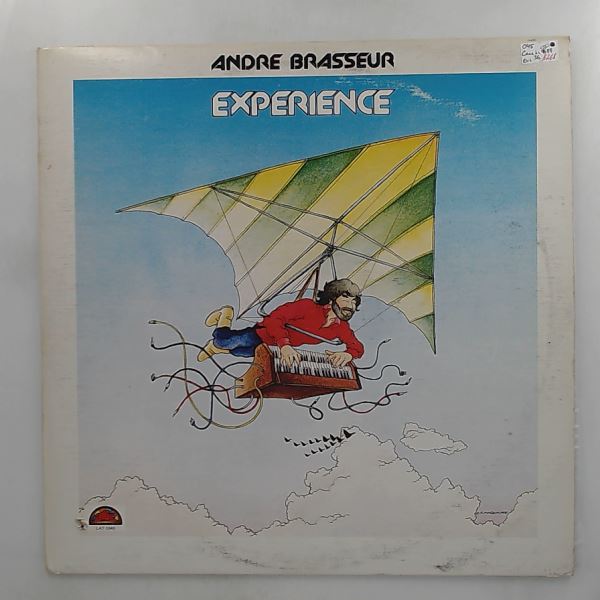 Brasseur Andre — Experience