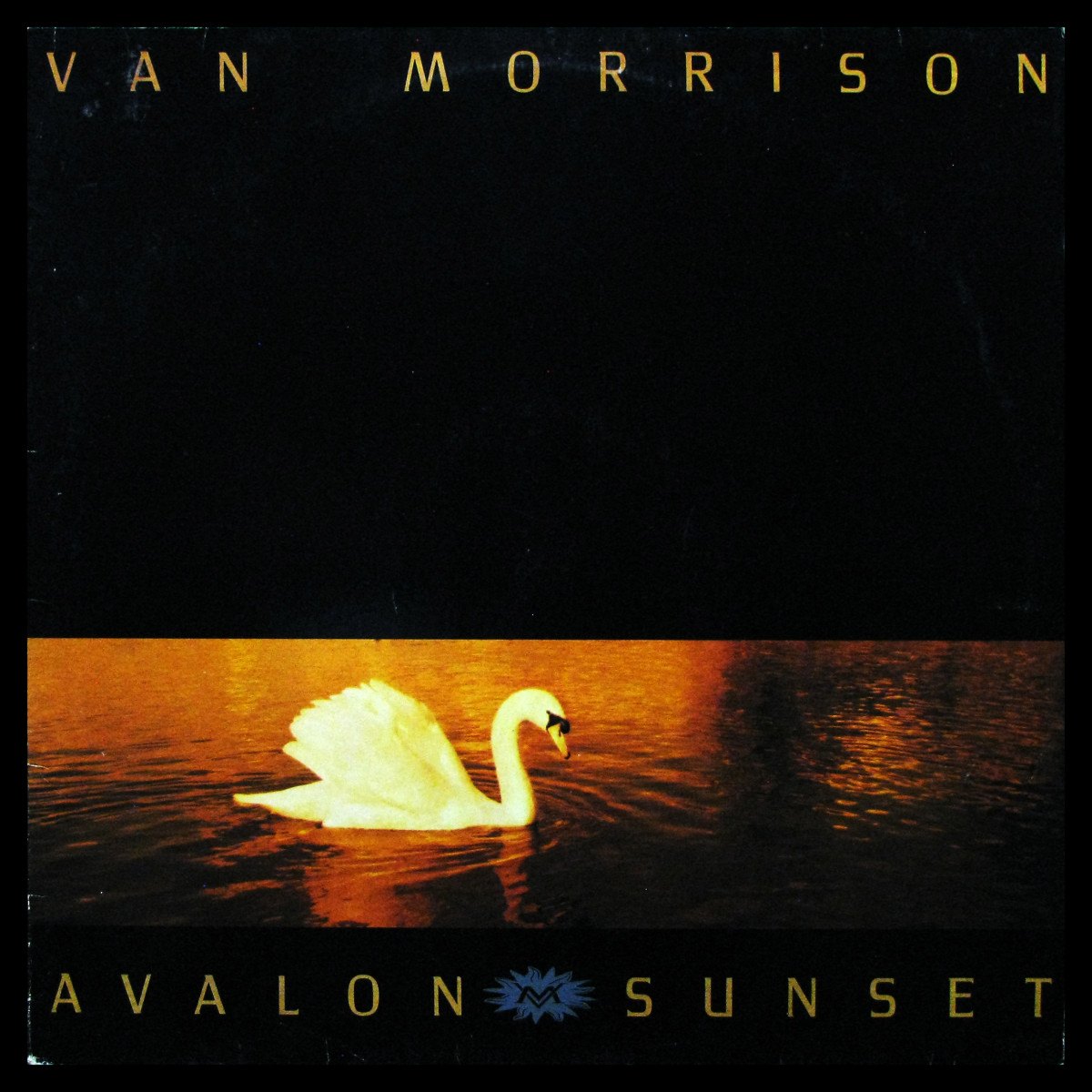 Morrison Van — Avalon Sunset