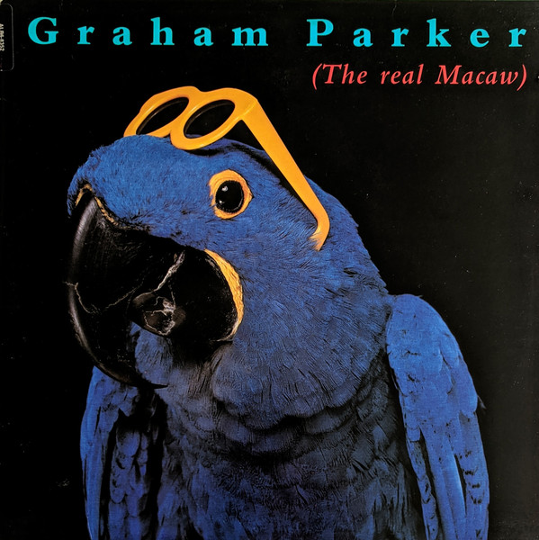 Parker Graham — The Real Macaw