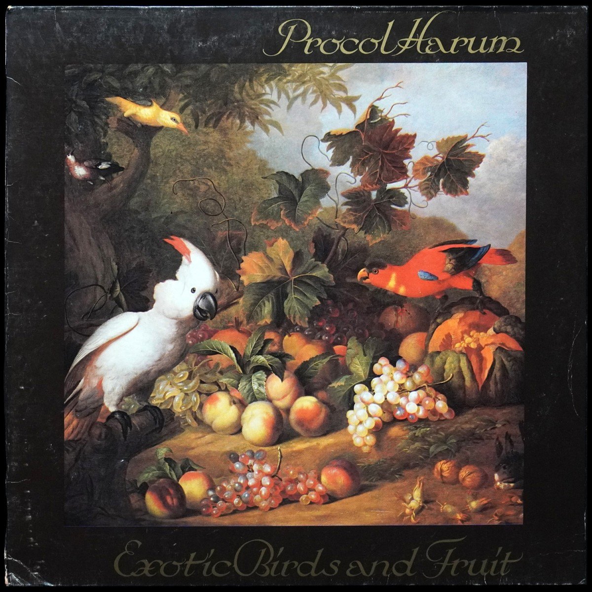 Procol Harum — Exotic Birds And Fruit