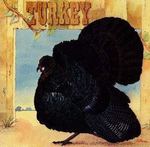 Wild Turkey — Turkey