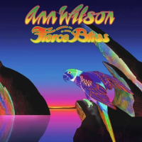 Ann Wilson — Fierce Bliss