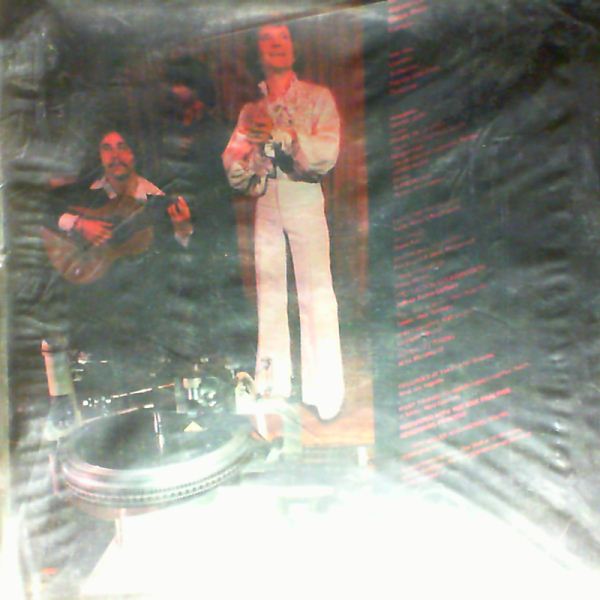 de la Rosa Felipe — Flamenco fever