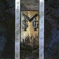 McAuley Schenker Group — MSG
