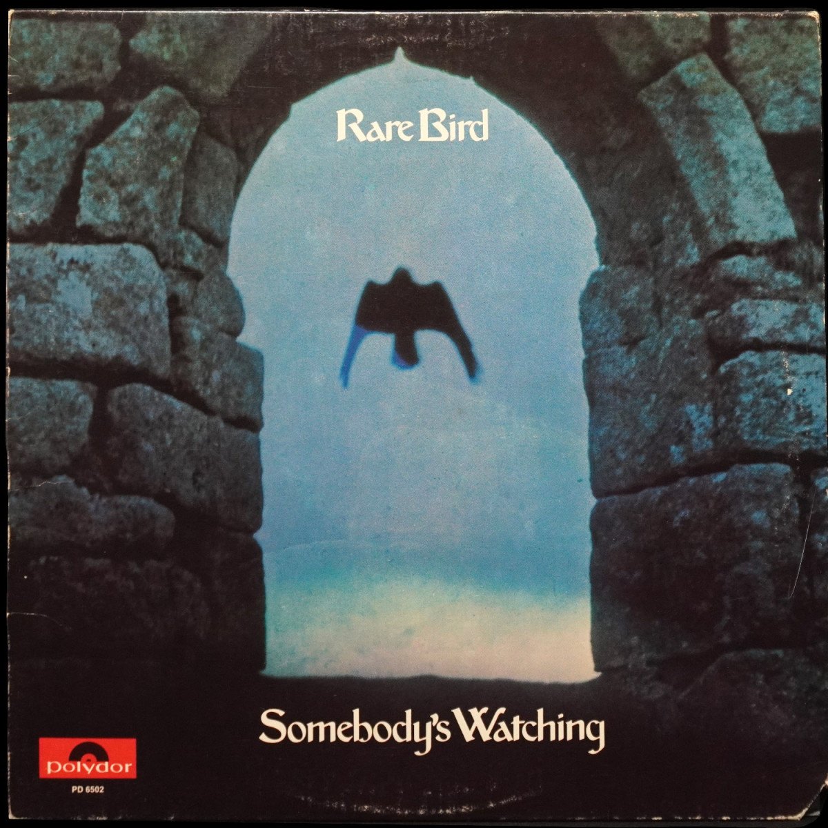 Rare Bird — Somebody's Watching