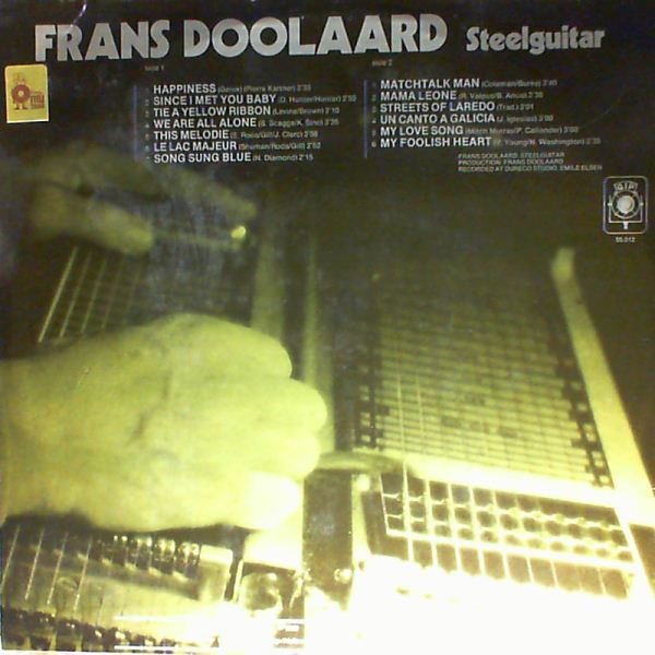 Doolaard Frans — Steelguitar