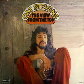 Stevens Cat — The View From The Top