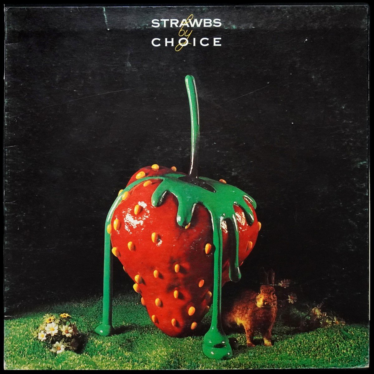 Strawbs & Cousins Dave — Strawbs & Cousins Dave