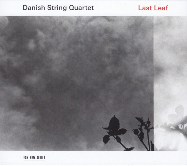 The Danish String Quartet — Last Leaf