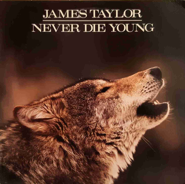 Taylor James — Never Die Young