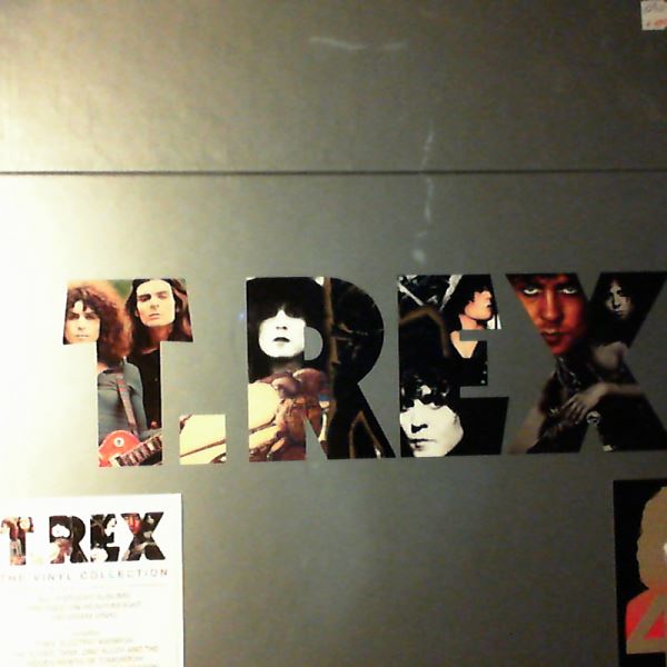 Tyrannosaurus Rex (T. Rex) — Vinyl Collection (Same, Electric Warrior, Slider, Tanx, Zinc Alloy And The Hidden Riders Of Tomorrow, Bolan's Zip Gun, Futuristic Dragon, Dandy In The Underworld)