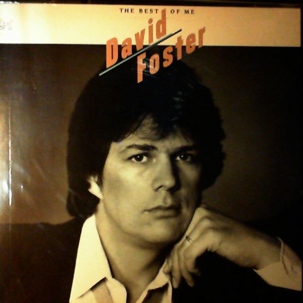 Foster David — Best Of Me