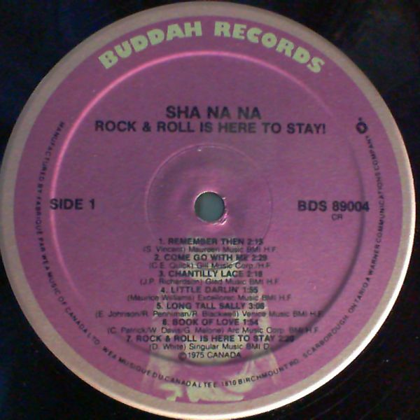 Sha Na Na — Rock And Roll Is Here To Stay