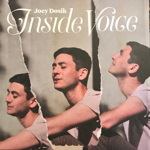 Joey Dosik — Inside Voice
