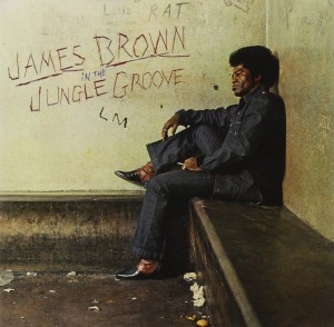 James Brown — In The Jungle Groove