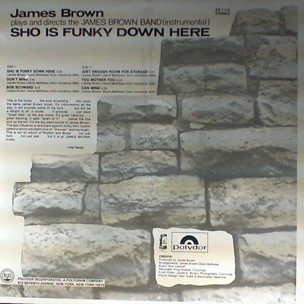 Brown James — Sho is funky down here