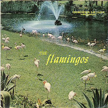 Flamingos — Same