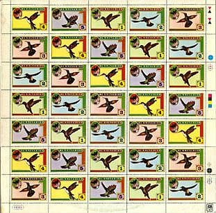 Hummingbird — Same